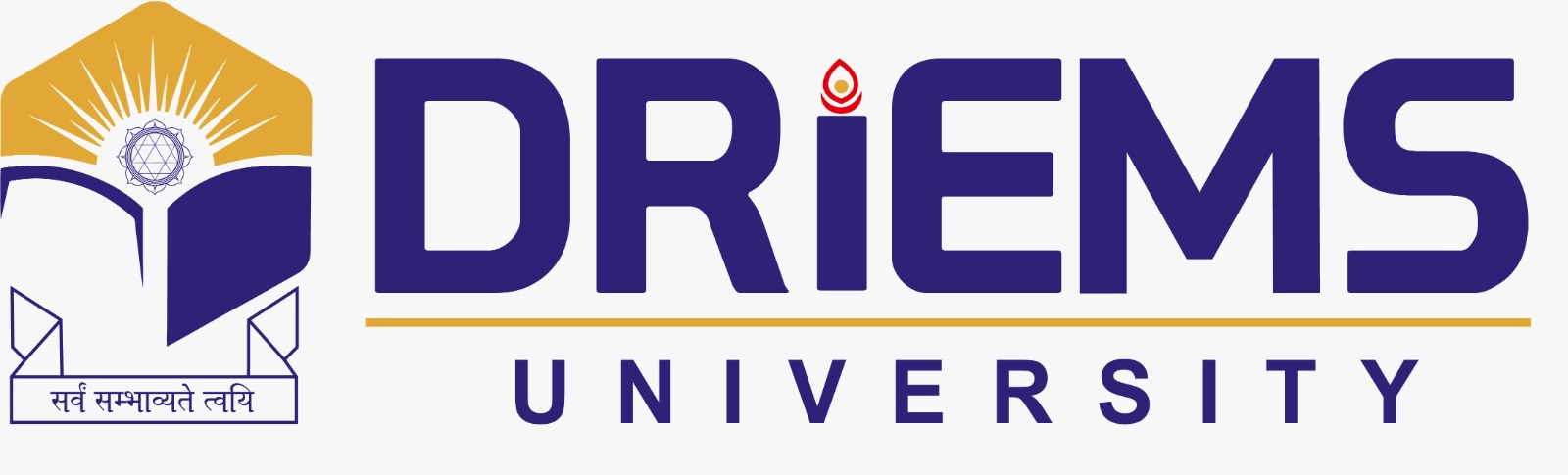DRIEMS University